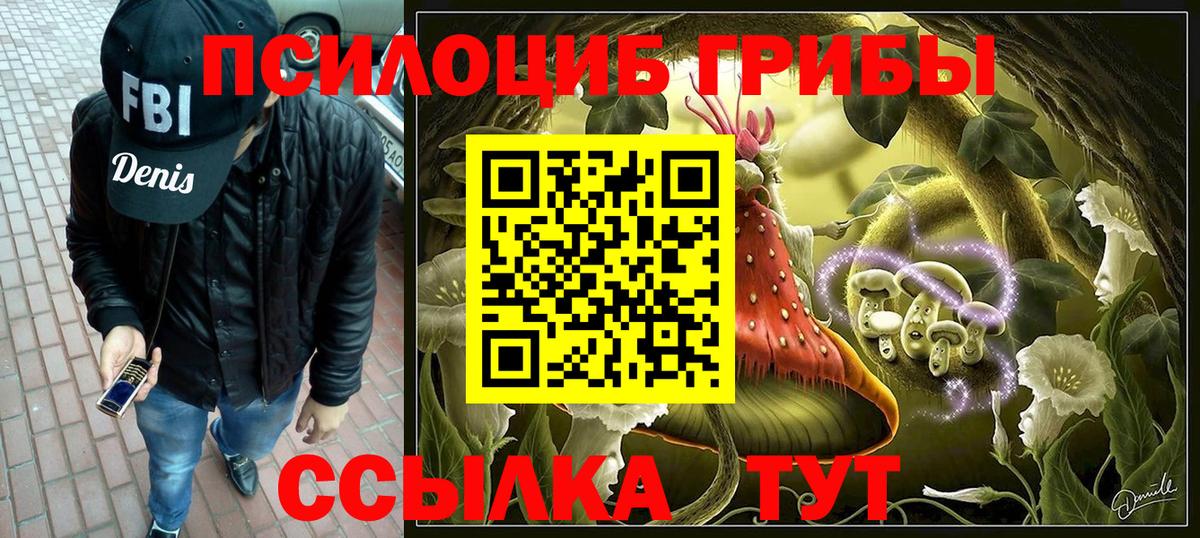 Псилоцибиновые грибы Psilocybe  Вход с VPN  Галлюциногенные грибы мицелий  Губкин 
